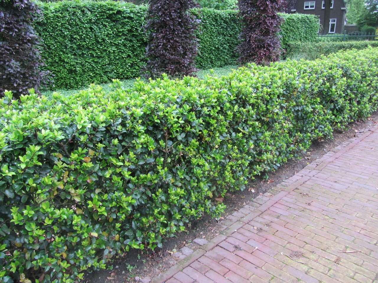 Tuinonderhoud